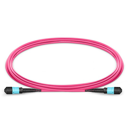  MTP Female to Female 12 Fibers OM4 (OM3) 50/125 Multimode Trunk Cable, Type A, Elite, Plenum (OFNP), Magenta