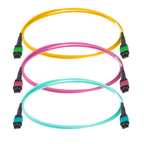 MPO MTP Patch Cord 